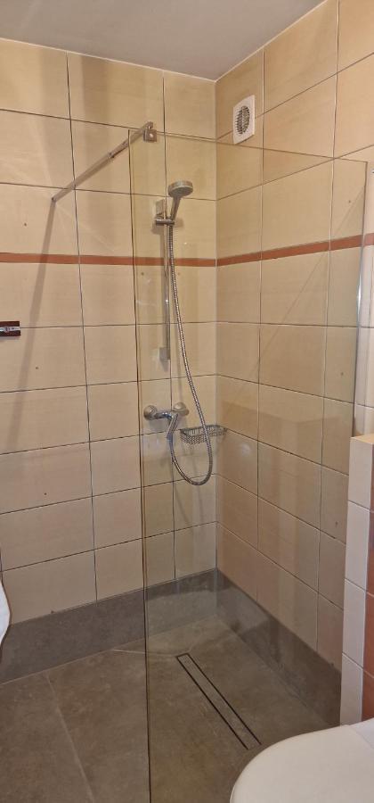 Apartament Krokus 扎科帕内 外观 照片