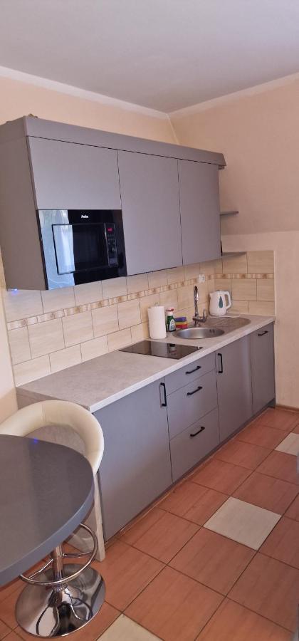 Apartament Krokus 扎科帕内 外观 照片